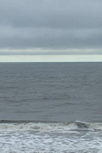 Atlantic Views 1-15 (2024) poster