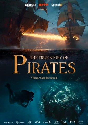 The True Story of Pirates (2022) poster