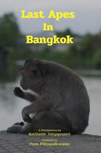 Last Apes In Bangkok () poster
