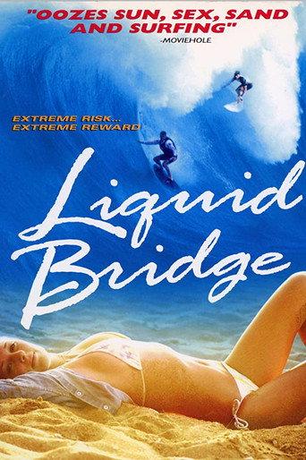 Liquid Bridge (2003) poster