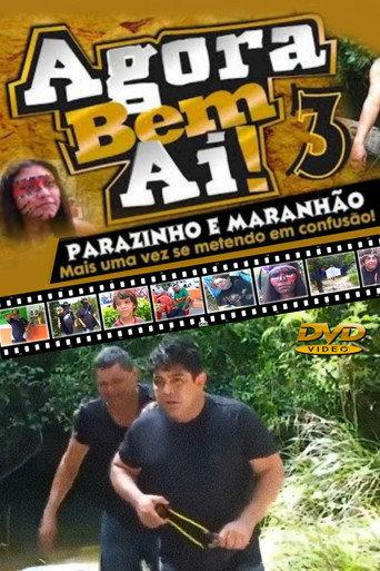 Agora Bem Ai! 3 (2014) poster