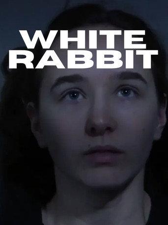 White Rabbit () poster