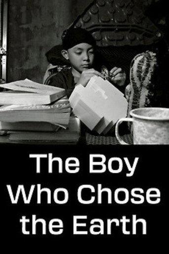 The Boy Who Chose the Earth (2018) poster