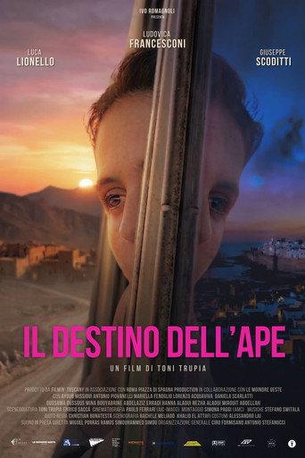 Il destino dell'ape () poster