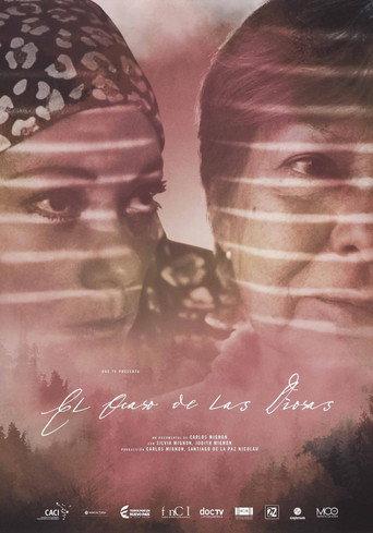 El ocaso de las diosas (2016) poster