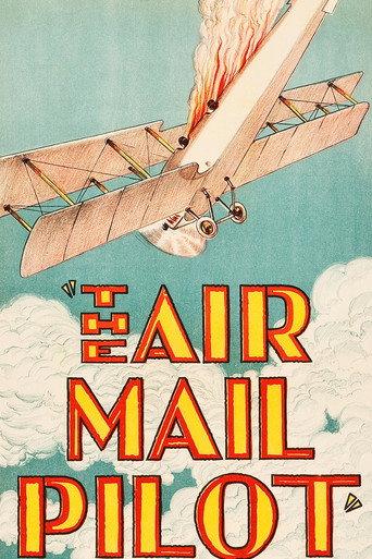 The Air Mail Pilot (1928) poster
