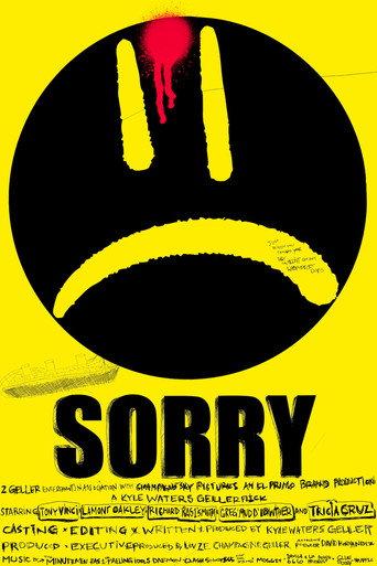 Sorry (2025) poster