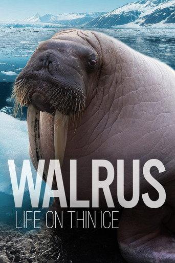 Walrus: Life on Thin Ice (2025) poster