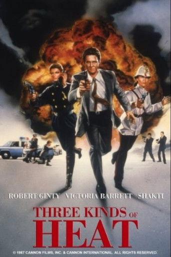 Three Kinds of Heat (1987) poster