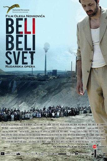White, White World (2010) poster