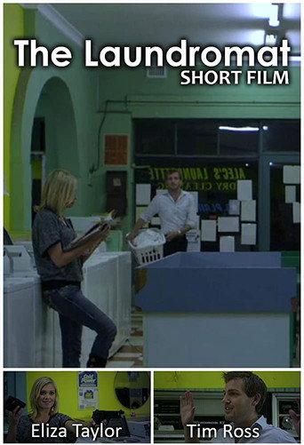 The Laundromat (2010) poster