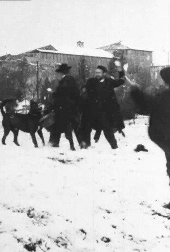 Snowball Fight (1896) poster