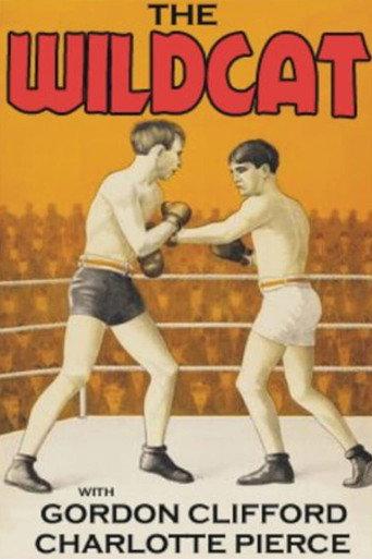 The Wildcat (1925) poster