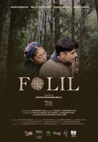Folil (2020) poster