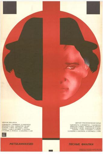 Wild Violets (1980) poster