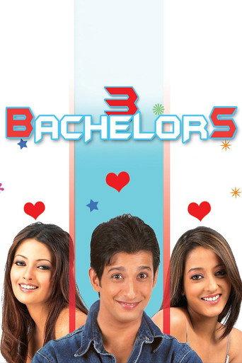 3 Bachelors (2012) poster