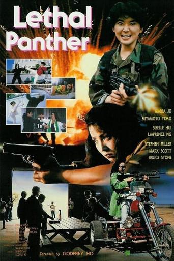 Lethal Panther (1990) poster