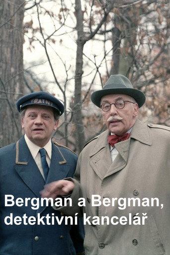 Bergman a Bergman, detektivní kancelář (1984) poster