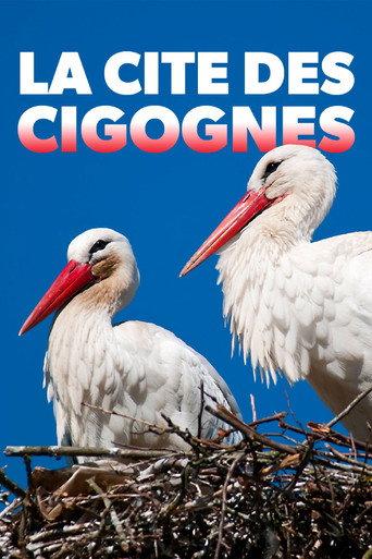 Klappern gehört zum Geschäft: Europas größtes Storchendorf () poster