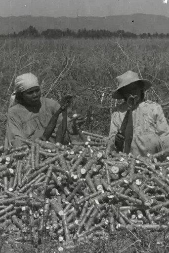 La chanson du manioc (1944) poster