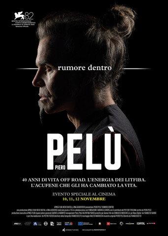 Piero Pelù - Rumore dentro (2025) poster