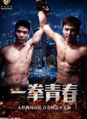 Yi Quan Qing Chun (2016) poster