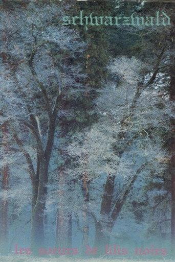 Schwarzwald (1992) poster