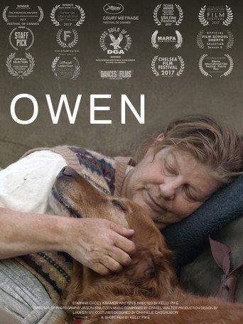 Owen () poster