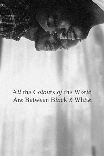 All the Colours of the World Are Between Black and White (2023) poster