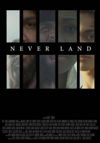 Never Land () poster