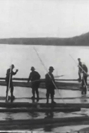 Logging in Maine (1906) poster