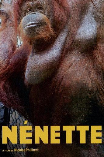 Nénette (2010) poster
