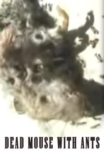 Dead Mouse with Ants (2002) poster