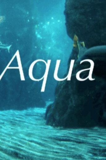 Sub Aqua () poster