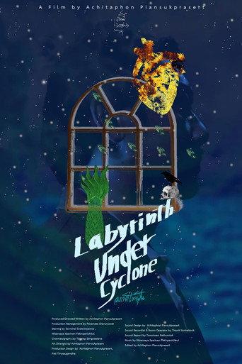 Labyrinth Under Cyclone (2025) poster
