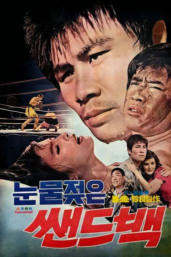 Tearful Sandbag (1975) poster