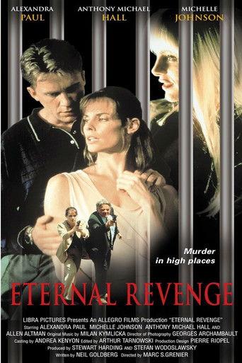 Revenge (1999) poster