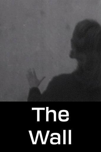 The Wall (1960) poster