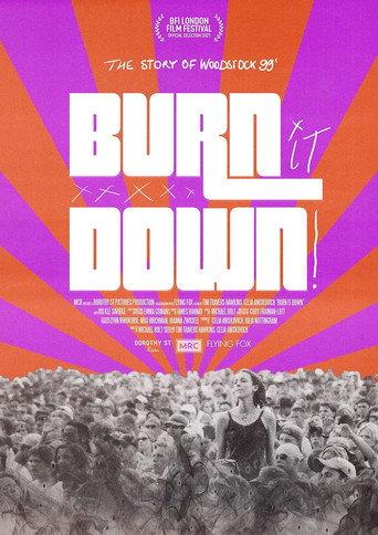 BURN IT DOWN! (2021) poster