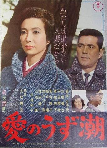 Whirlpool of Love (1962) poster