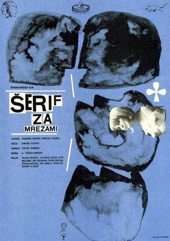 The Sheriff Behind Bars (1966) poster