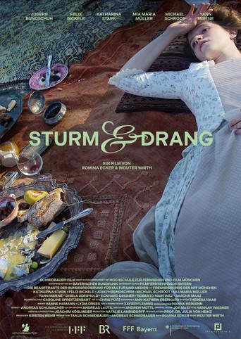 Storm & Stress (2024) poster