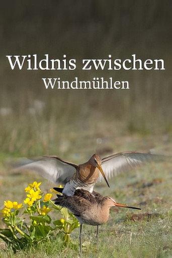 Wildlife in Windmill Country (2025) poster