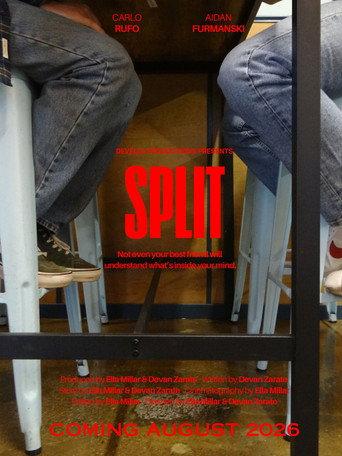Split (2026) poster