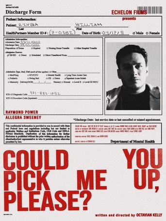Could You Pick Me Up, Please? () poster
