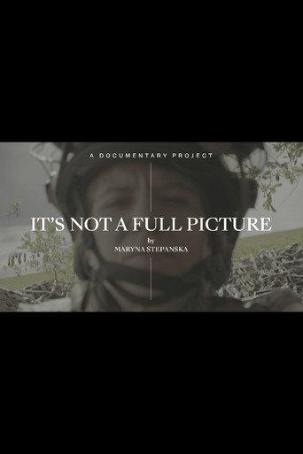 It’s Not A Full Picture () poster