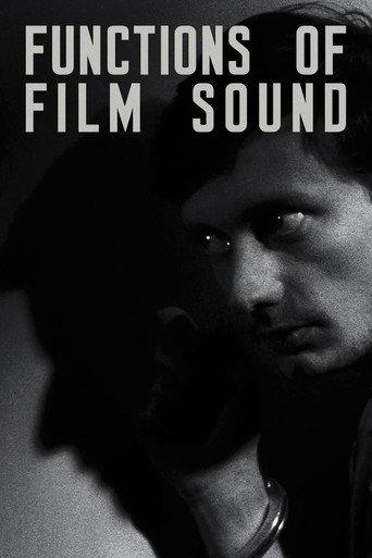 Functions of Film Sound (2013) poster