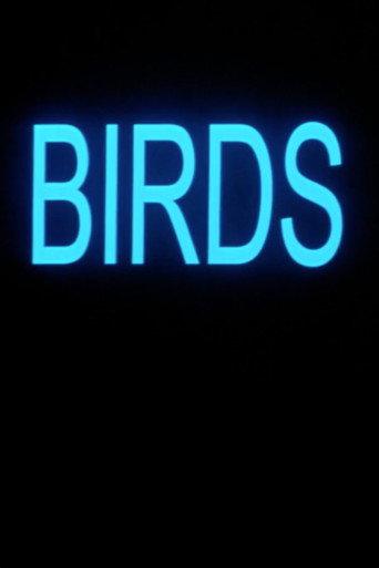 Birds (2001) poster
