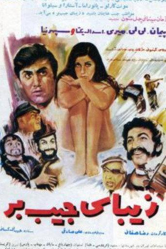 The Pickpocket Beauty (1971) poster