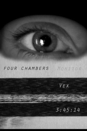 Monitor (2013) poster
